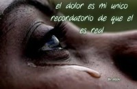 /album/fotogaleria/es-mi-unico-recordatorio-jpg/